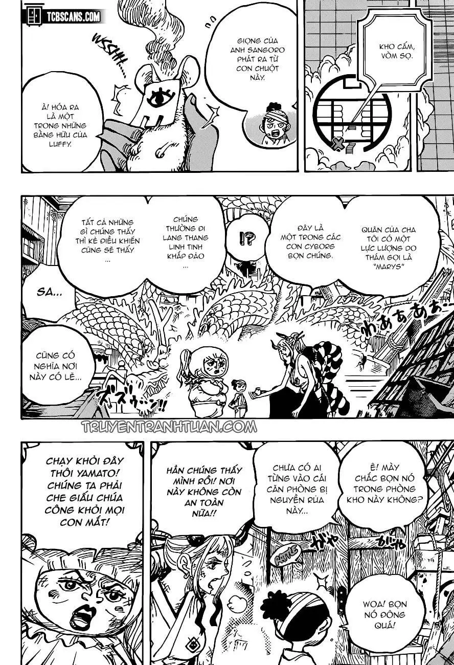 One Piece Chương 1005 – trang 13