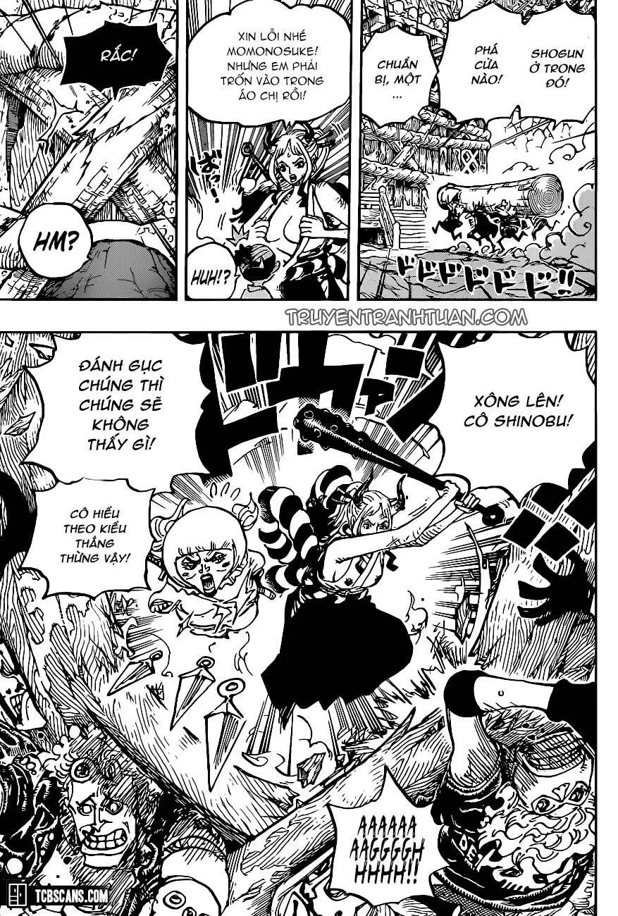 One Piece Chương 1005 – trang 14