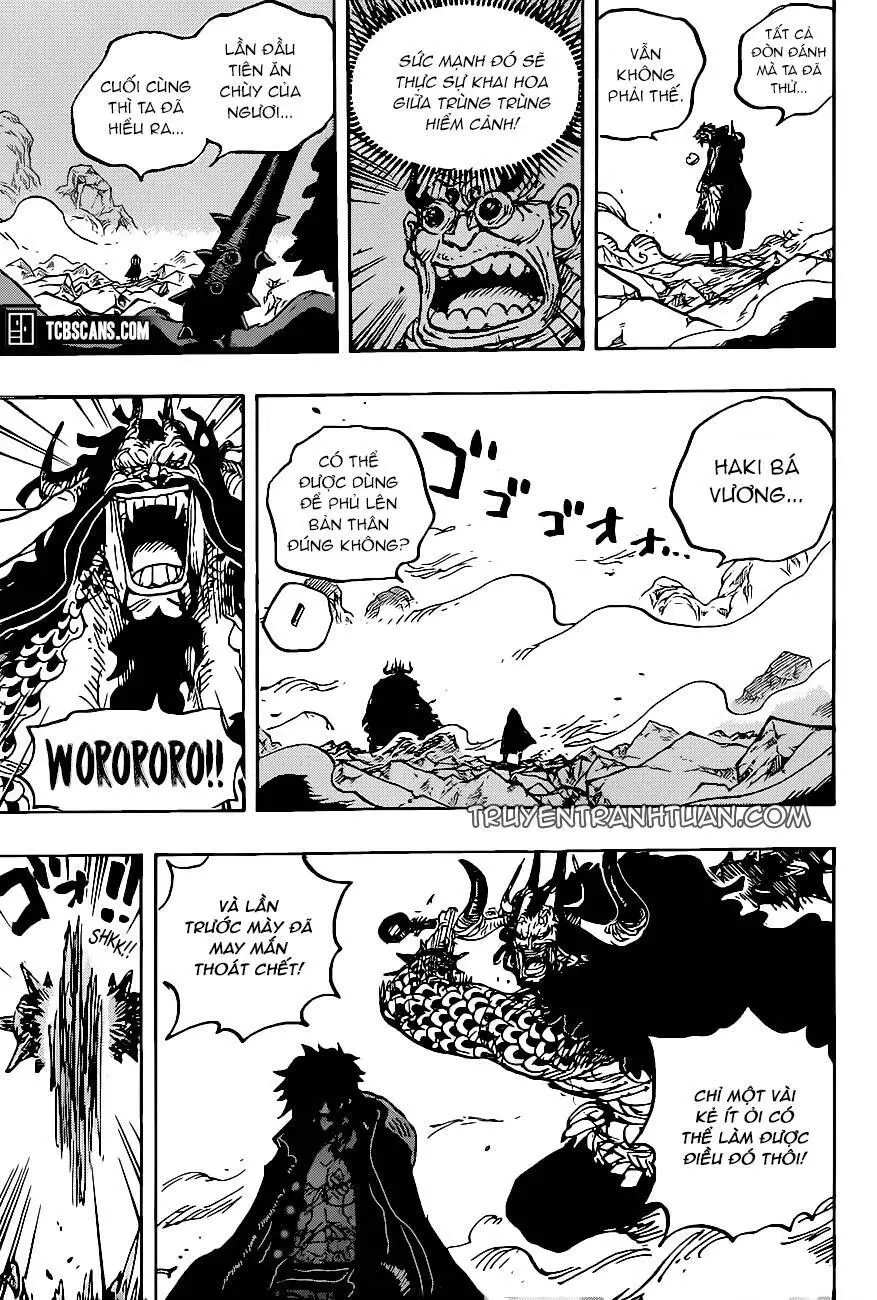One Piece Chương 1010 – trang 12