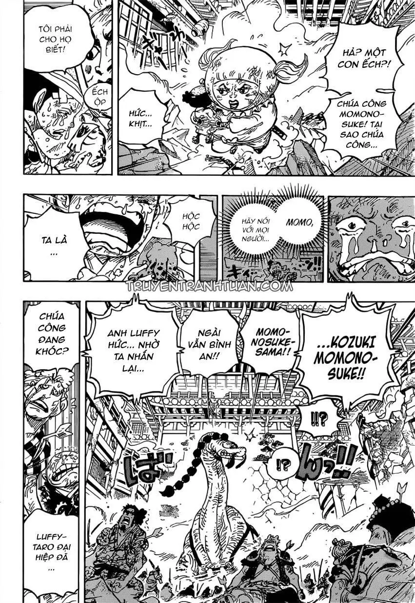 One Piece Chương 1015 – trang 11
