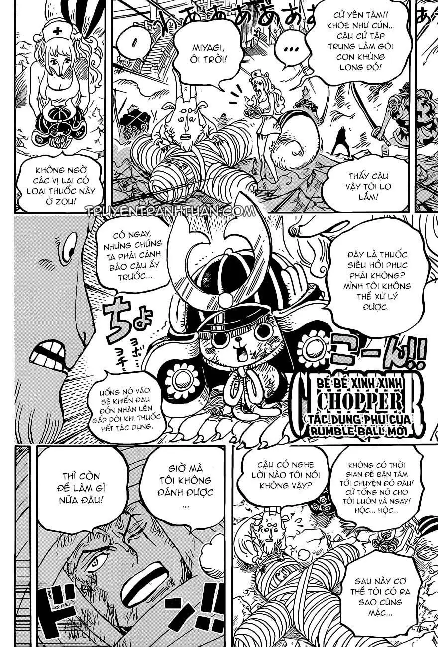 One Piece Chương 1017 – trang 12