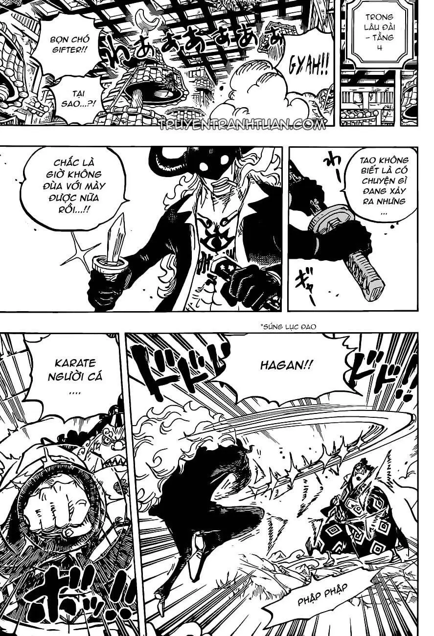 One Piece Chương 1017 – trang 13