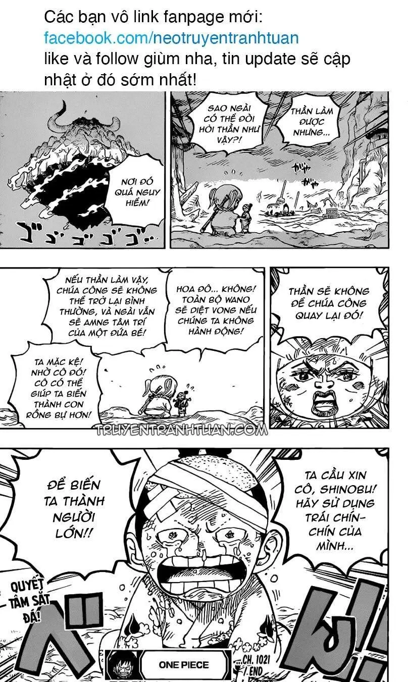One Piece Chương 1021 – trang 16