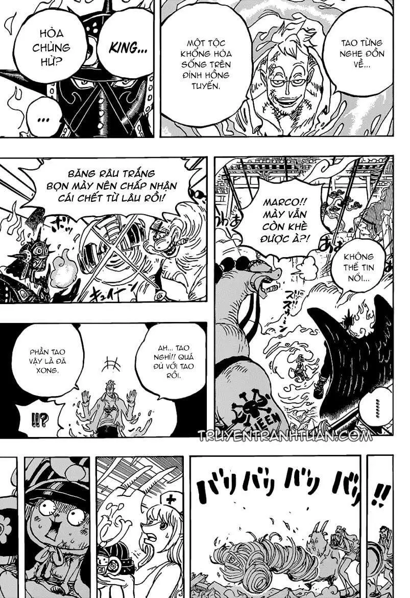 One Piece Chương 1022 – trang 14