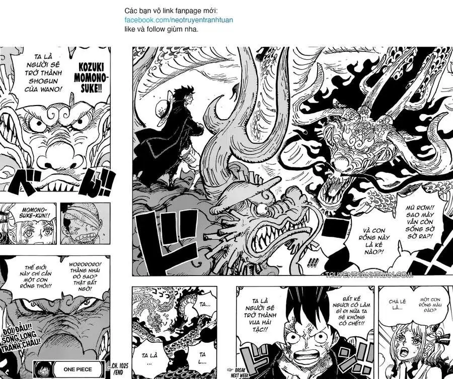 One Piece Chương 1025 – trang 16