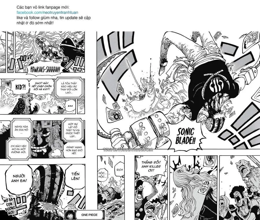 One Piece Chương 1029 – trang 14