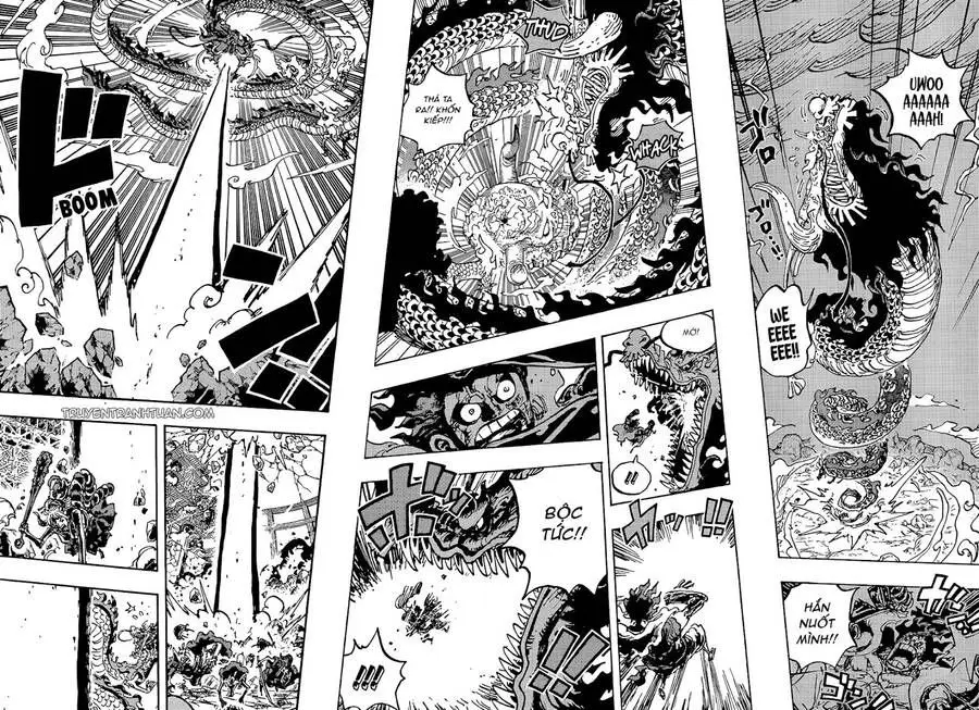 One Piece Chương 1042 – trang 8