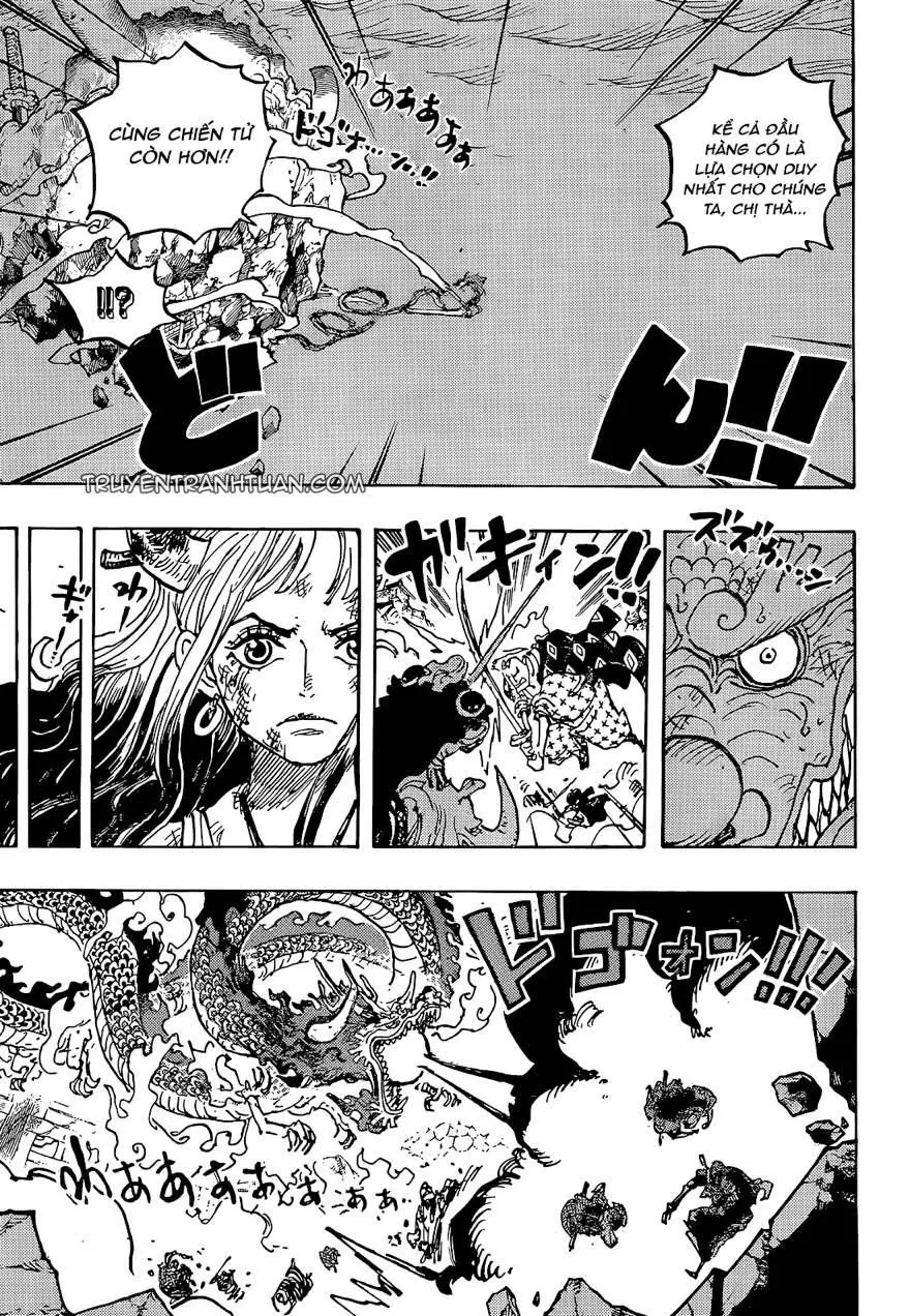 One Piece Chương 1043 – trang 13