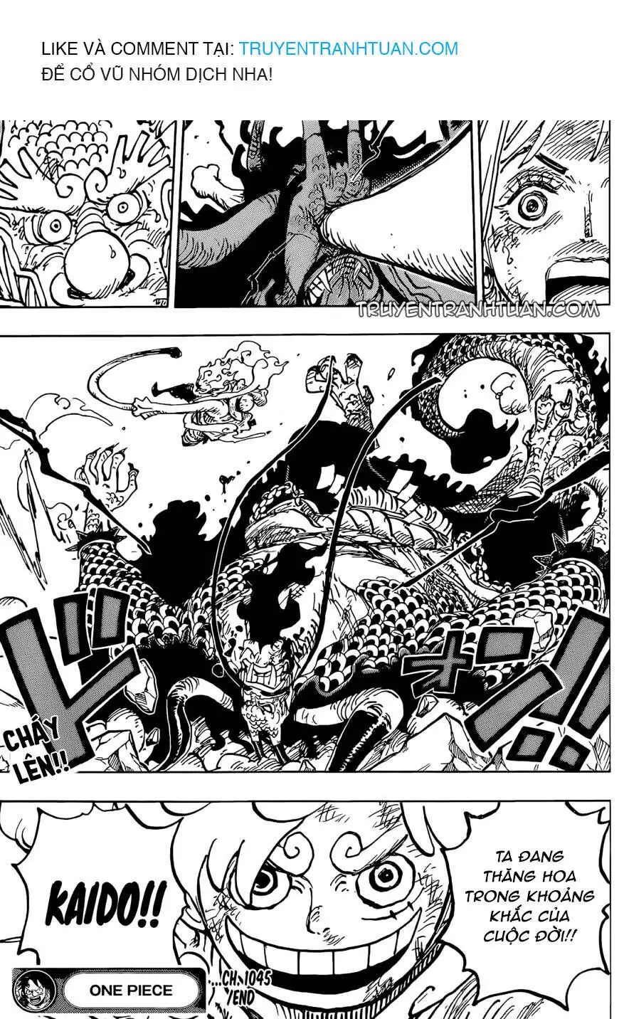One Piece Chương 1045 – trang 17