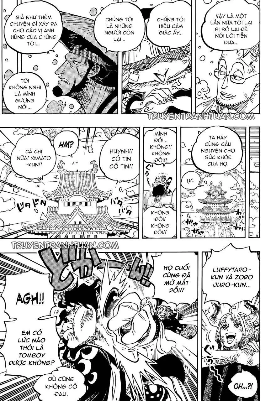 One Piece Chương 1052 – trang 9