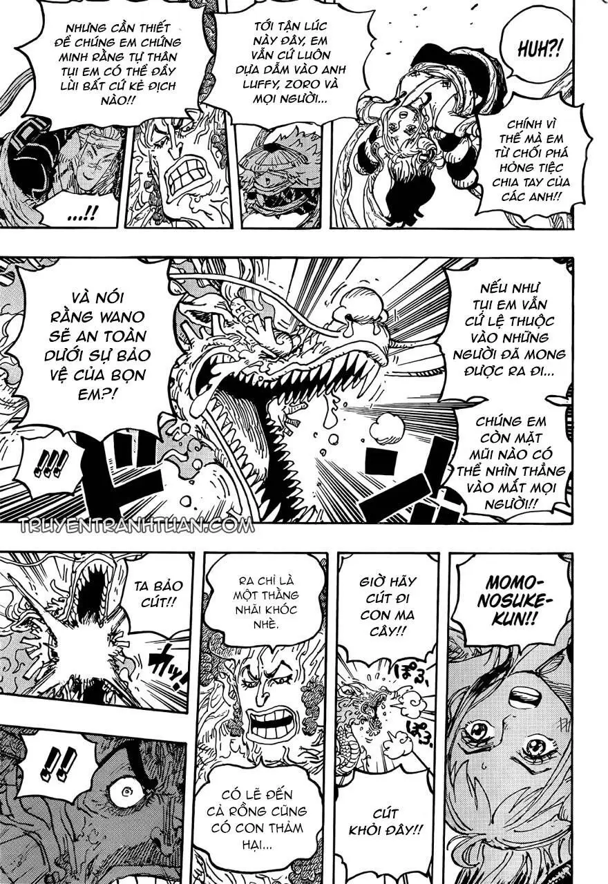 One Piece Chương 1055 – trang 13