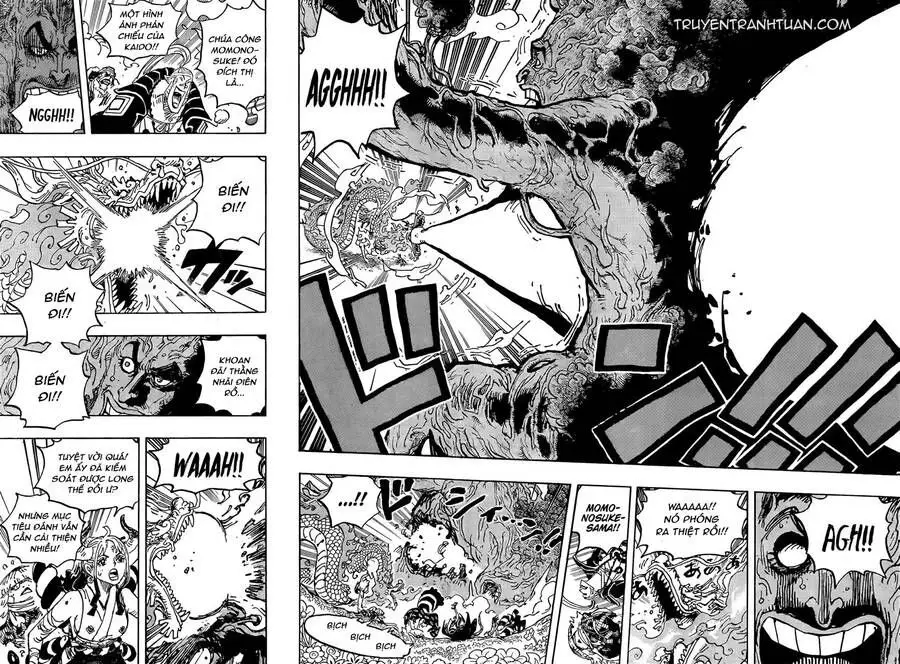 One Piece Chương 1055 – trang 14