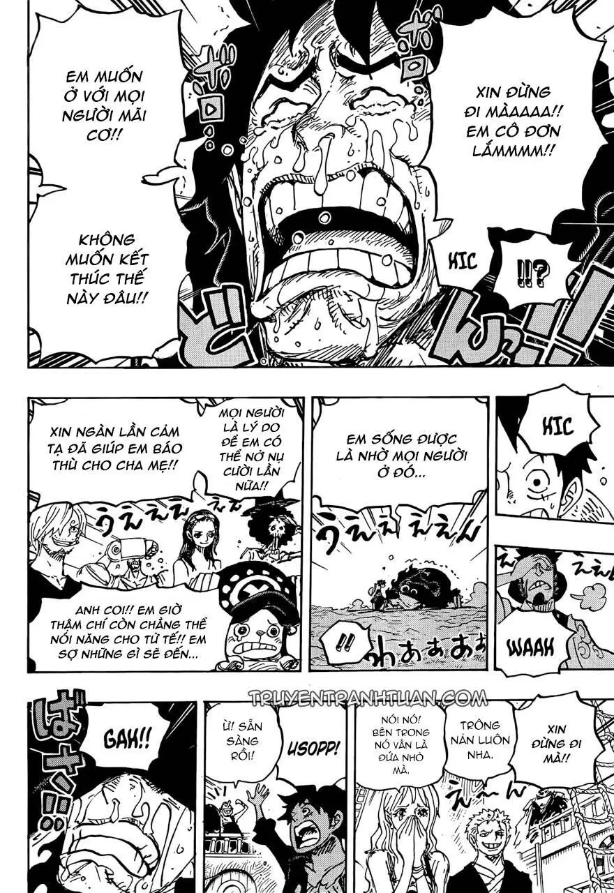 One Piece Chương 1057 – trang 9