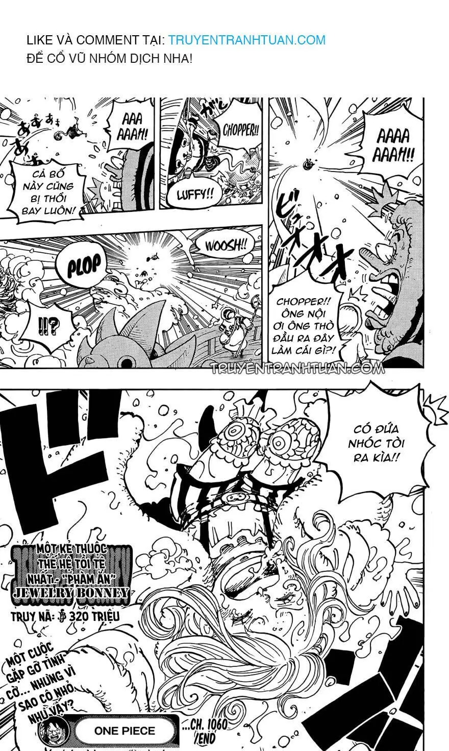 One Piece Chương 1060 – trang 17