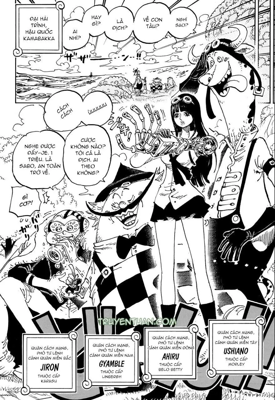 One Piece Chương 1082 – trang 11