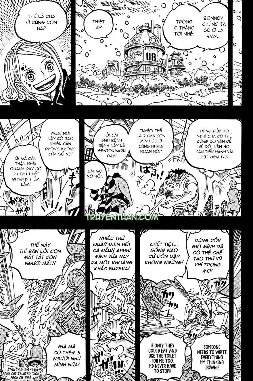 One Piece Chương 1100 – trang 10