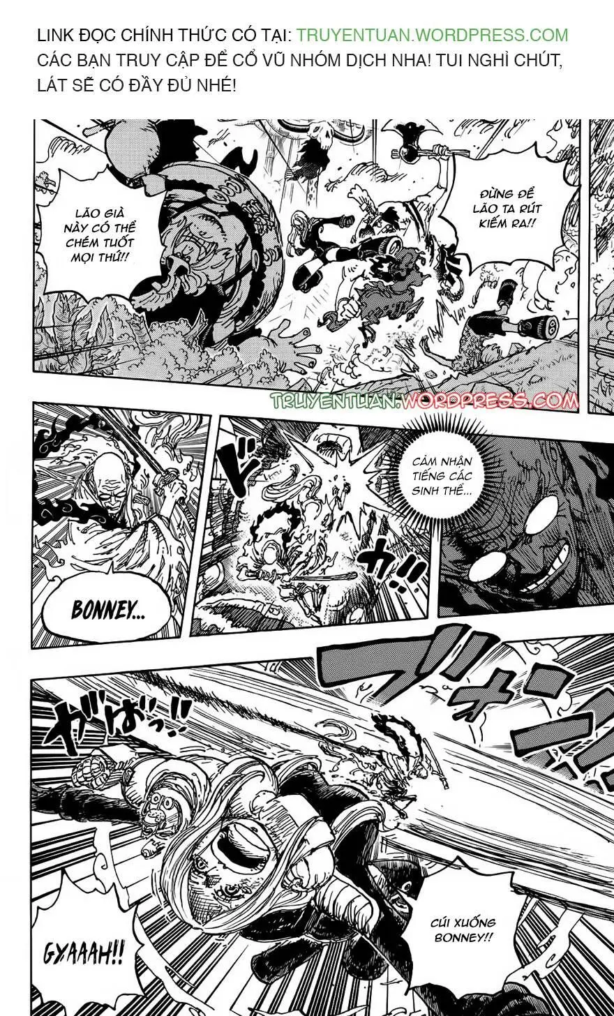 One Piece Chương 1115 – trang 8