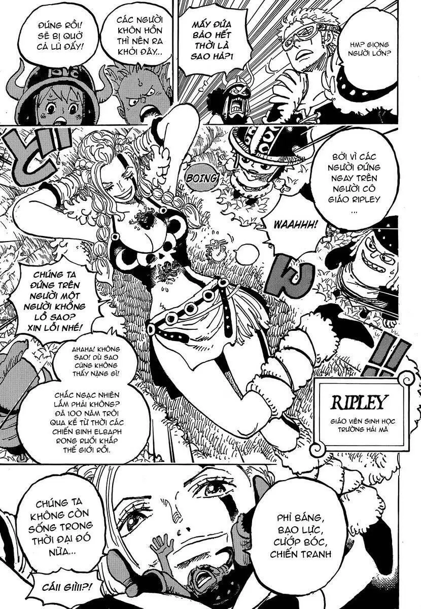 One Piece Chương 1134 – trang 9