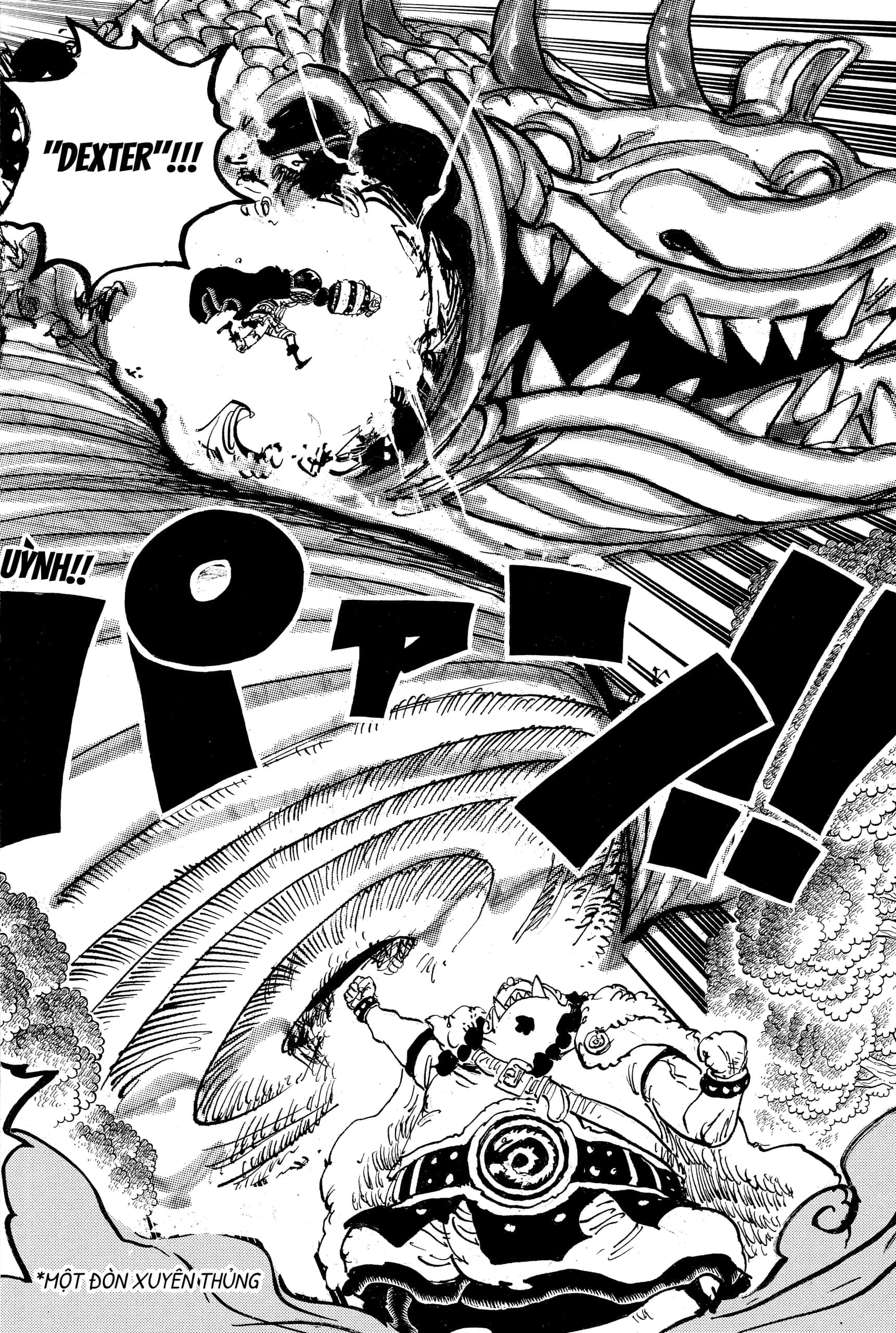 One Piece Chương 1176 – trang 10