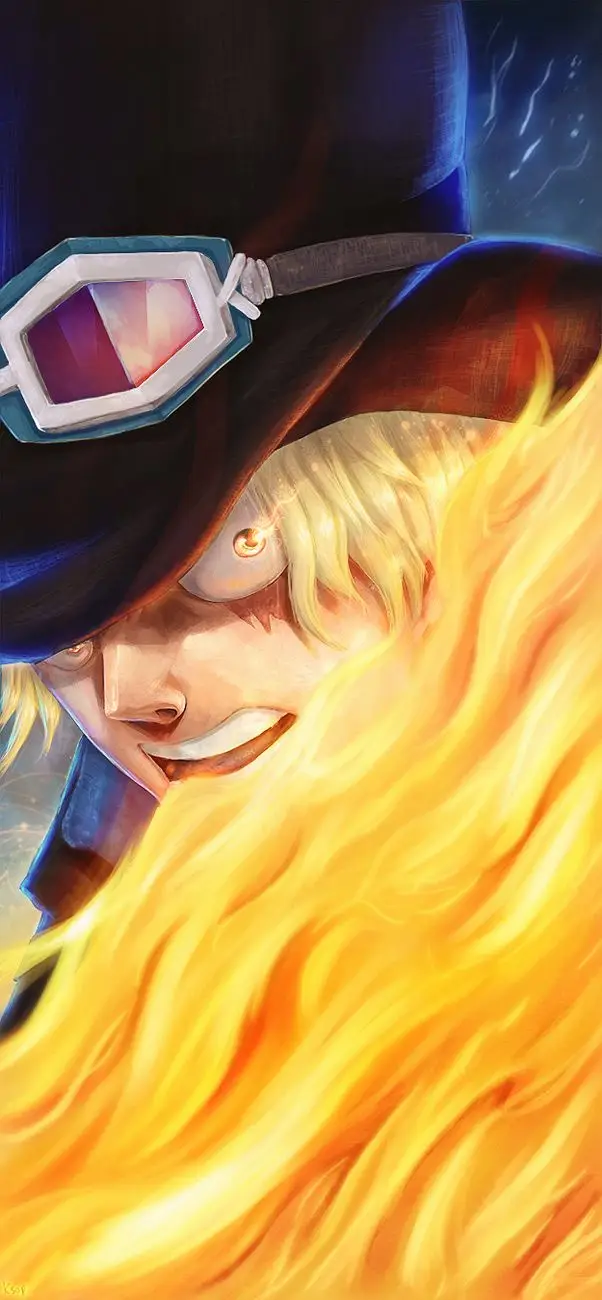 One Piece Chương 794 – trang 17