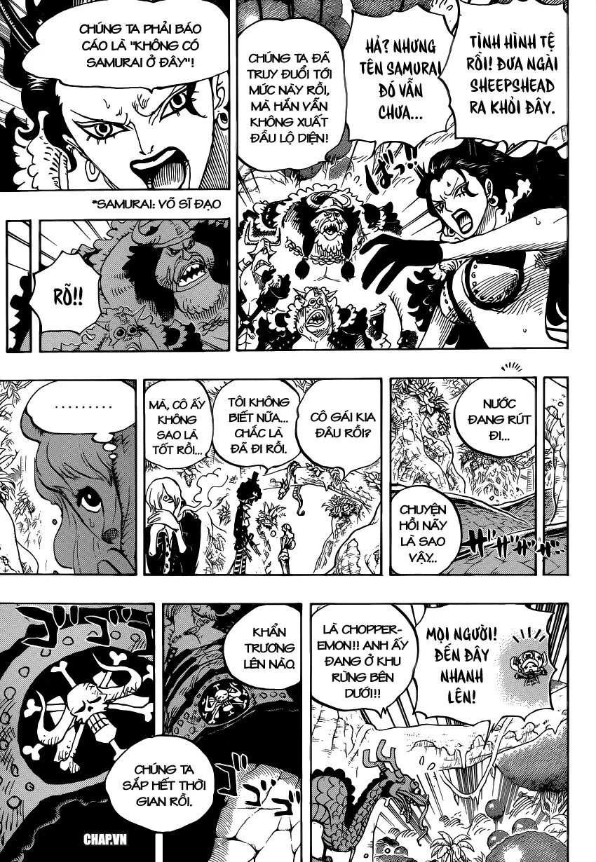 One Piece Chương 795 – trang 9