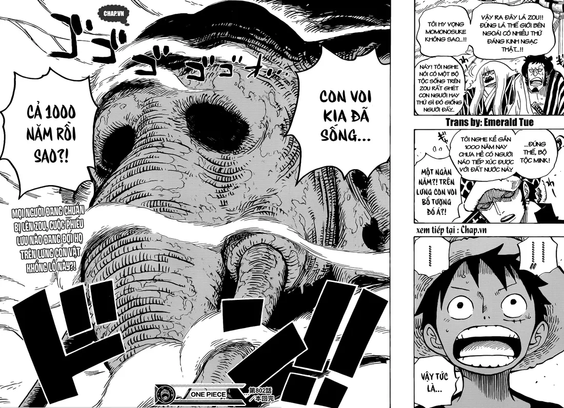 One Piece Chương 802 – trang 15