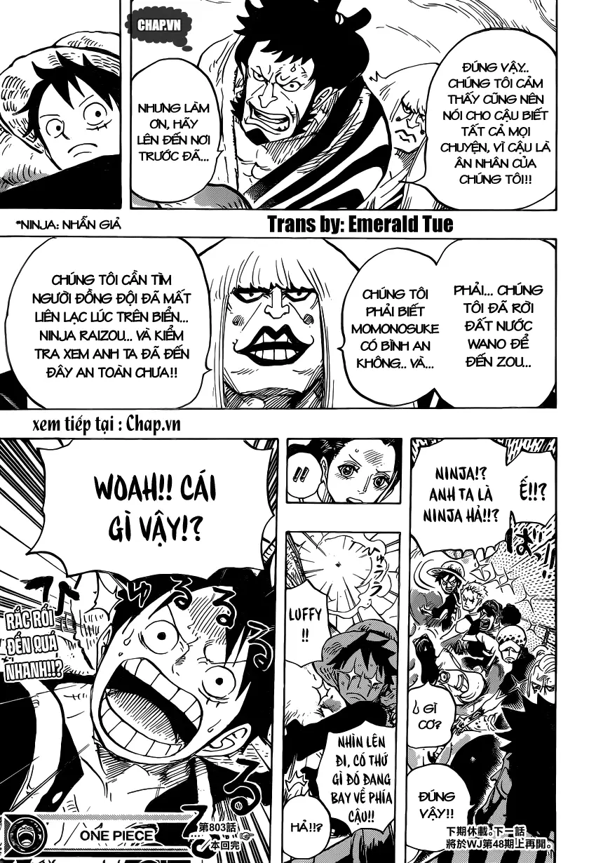 One Piece Chương 803 – trang 13