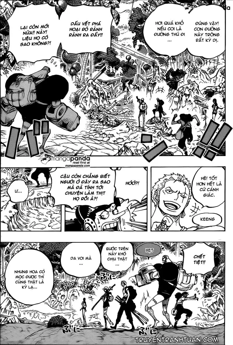 One Piece Chương 804 – trang 12