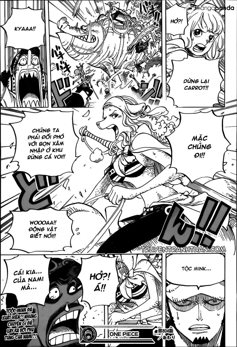 One Piece Chương 804 – trang 16