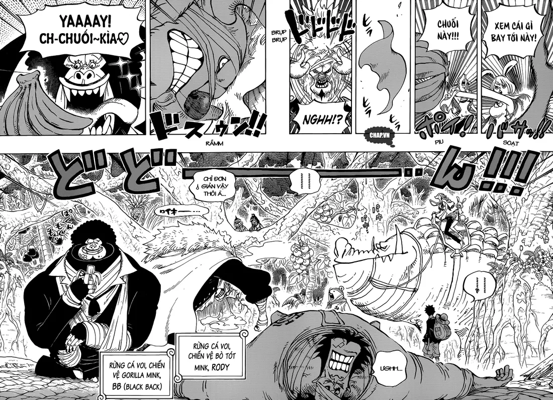 One Piece Chương 805 – trang 10