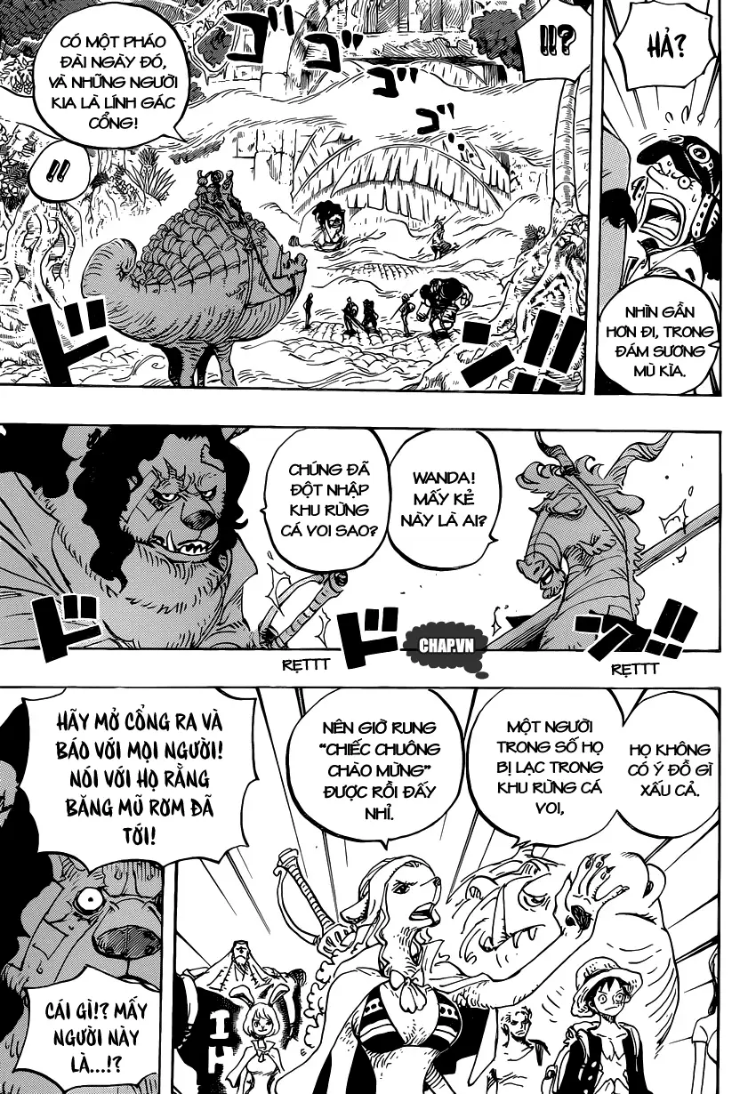 One Piece Chương 806 – trang 11