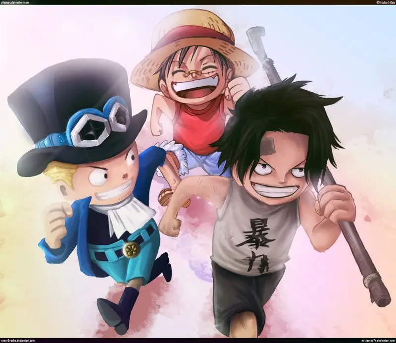 One Piece Chương 806 – trang 17