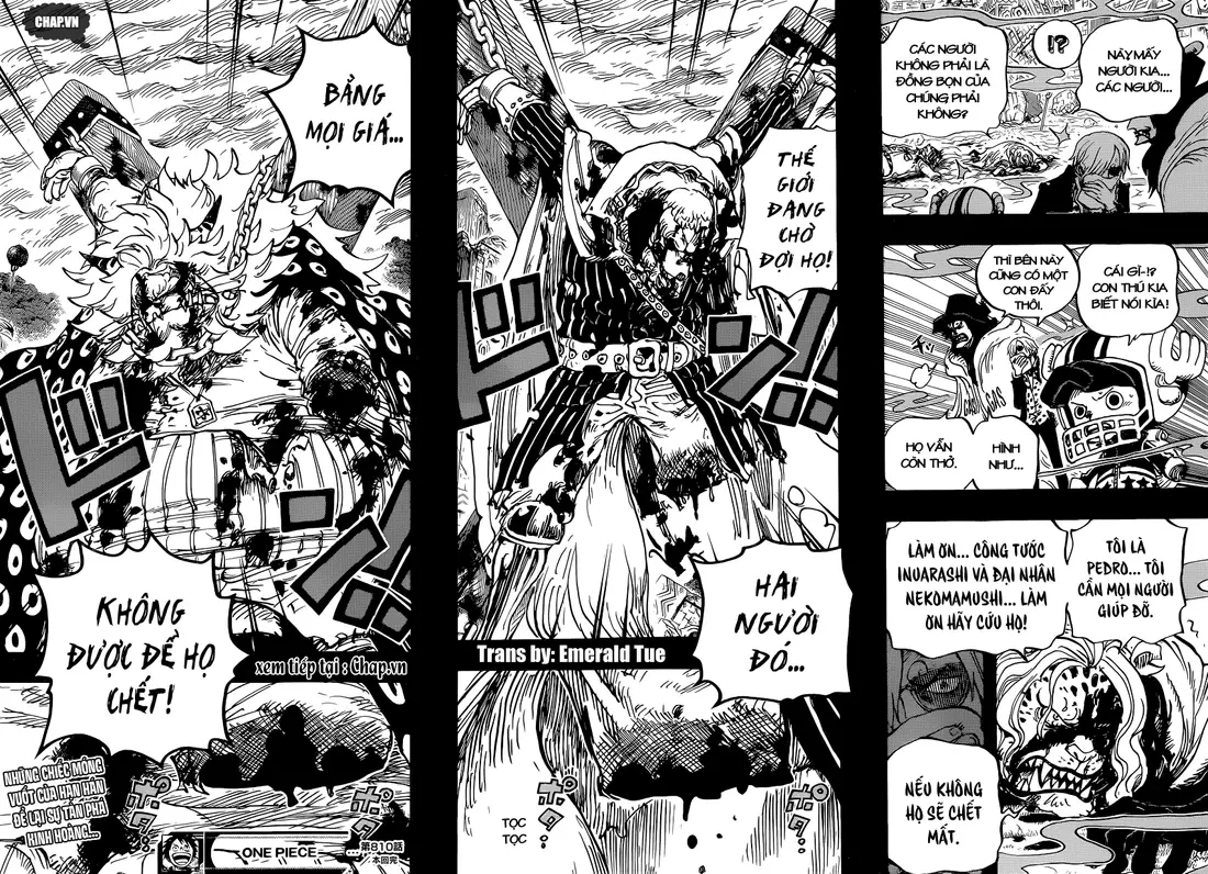 One Piece Chương 810 – trang 16