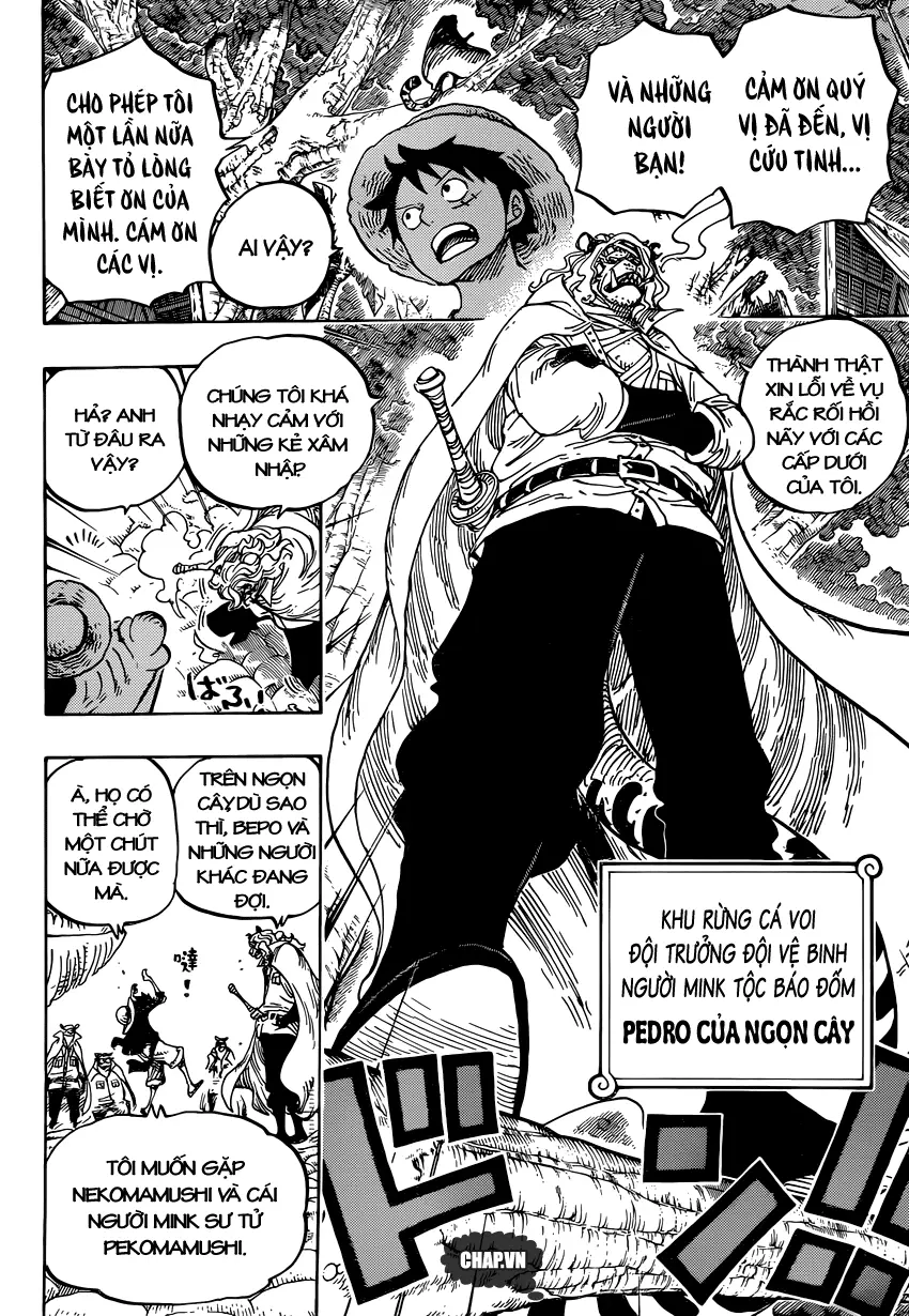 One Piece Chương 814 – trang 11