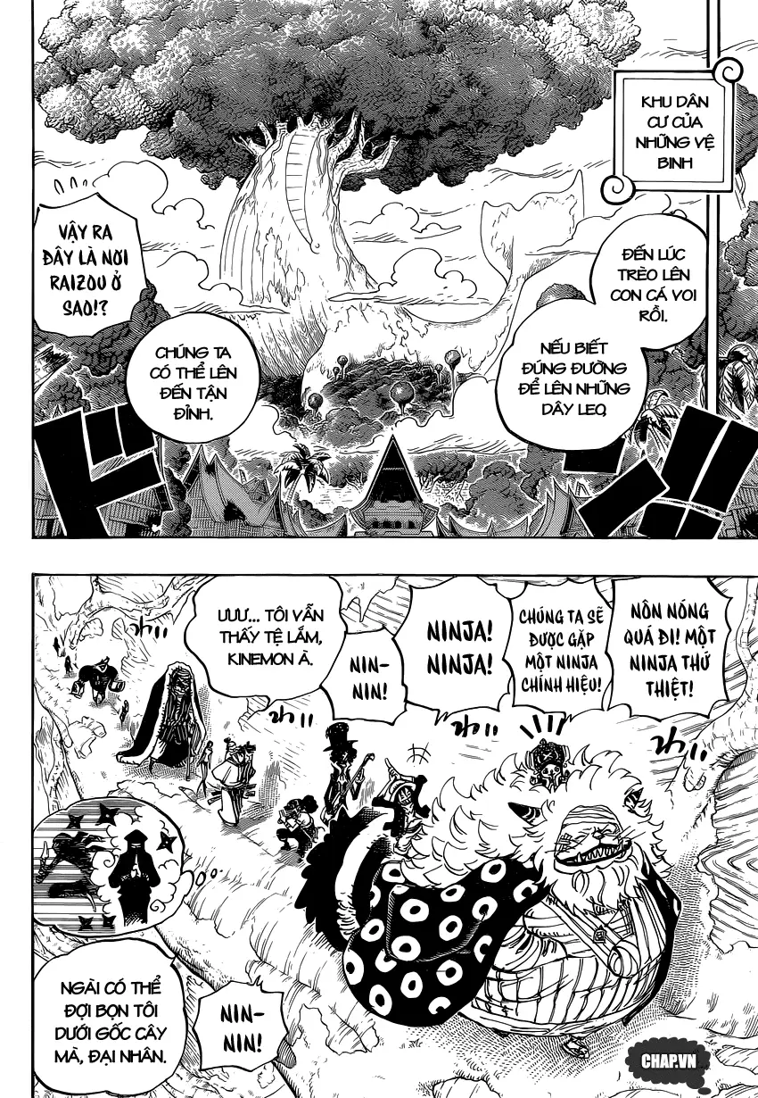 One Piece Chương 817 – trang 12