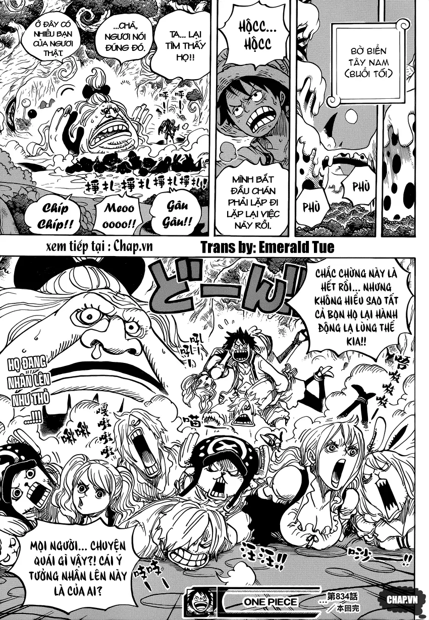 One Piece Chương 834 – trang 17
