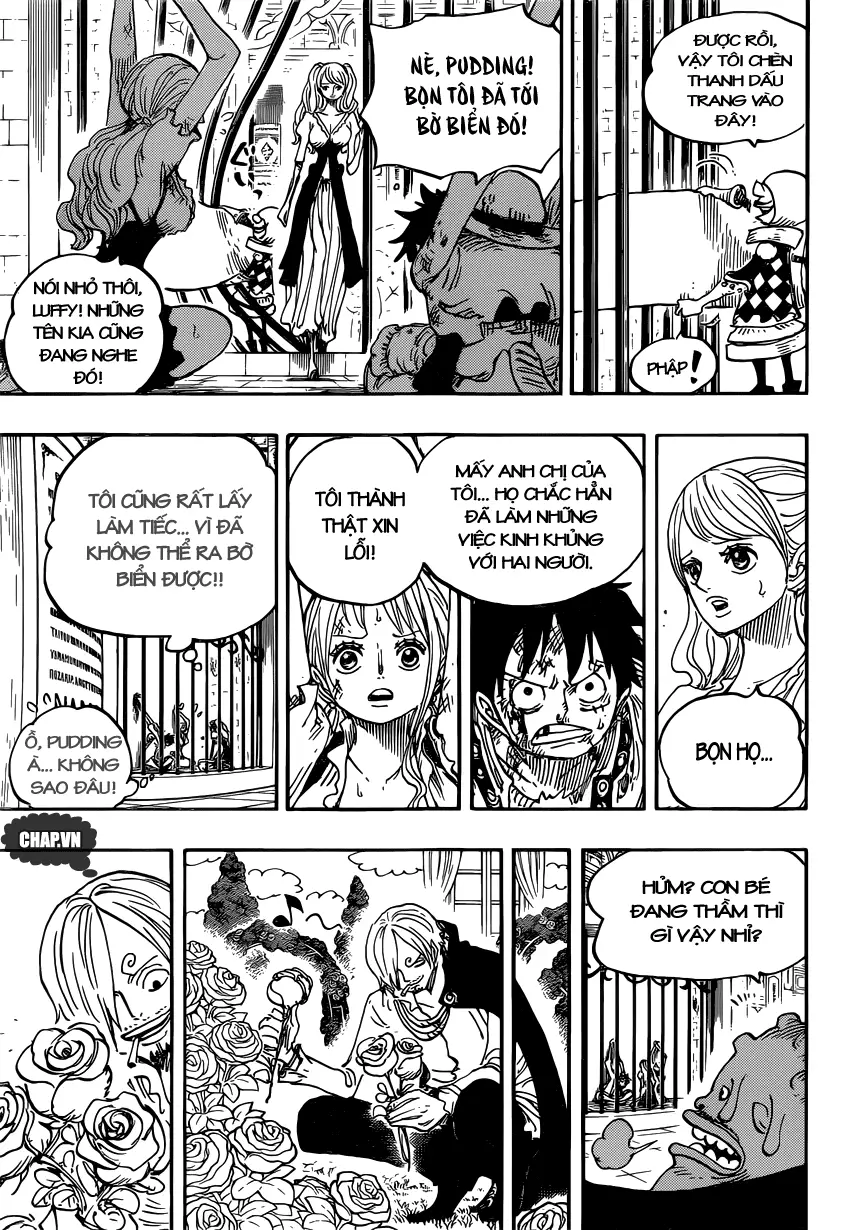 One Piece Chương 848 – trang 16