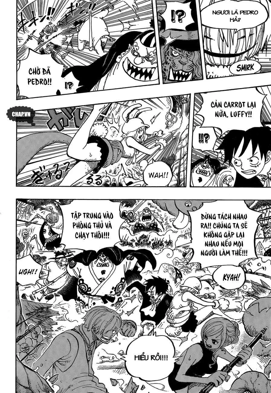 One Piece Chương 875 – trang 10