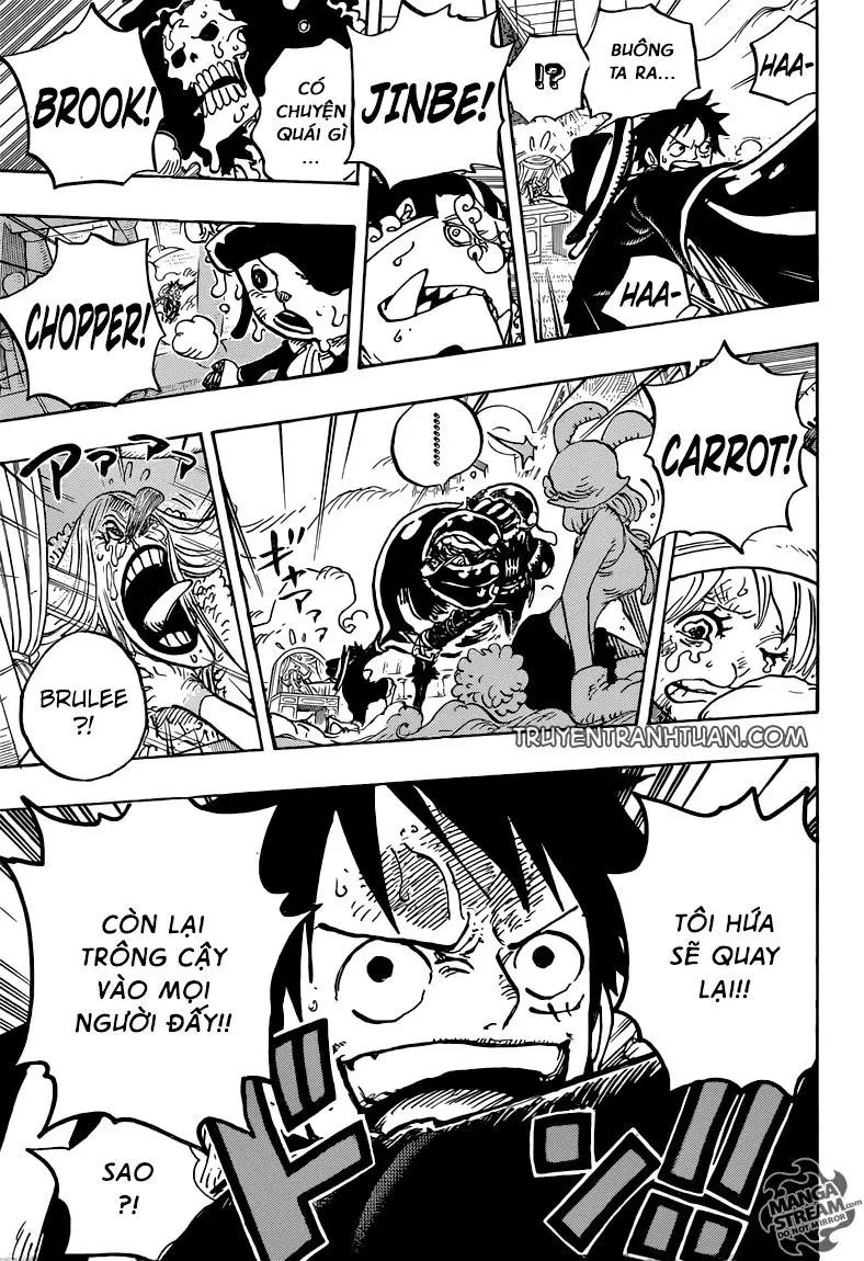 One Piece Chương 878 – trang 16