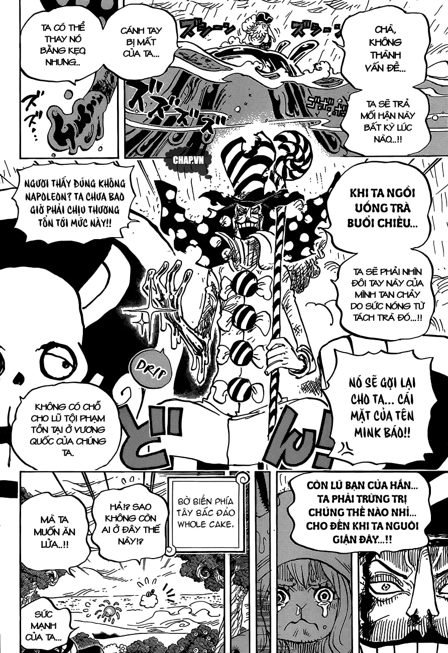 One Piece Chương 879 – trang 8