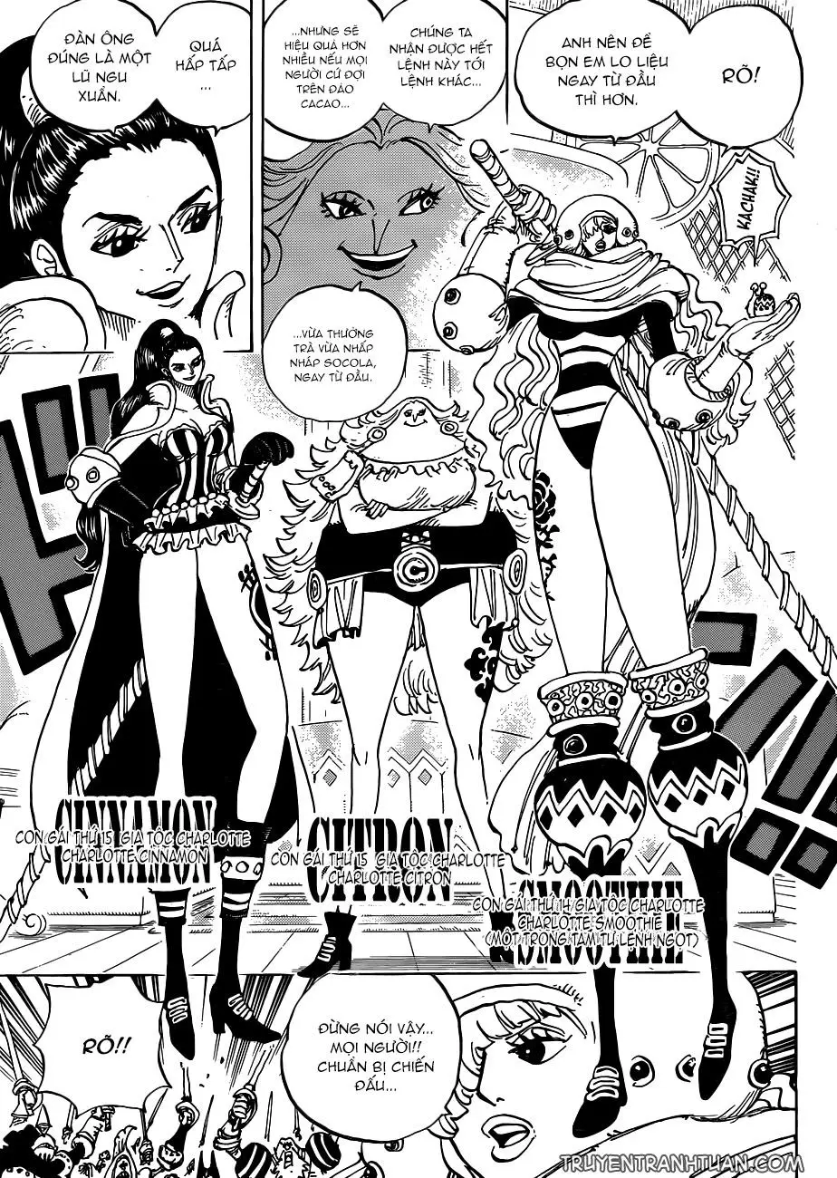 One Piece Chương 892 – trang 13