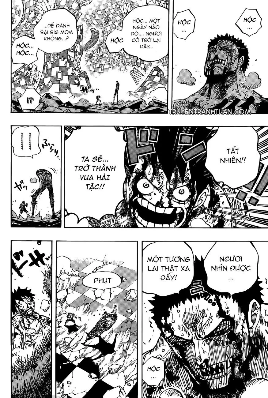 One Piece Chương 896 – trang 14