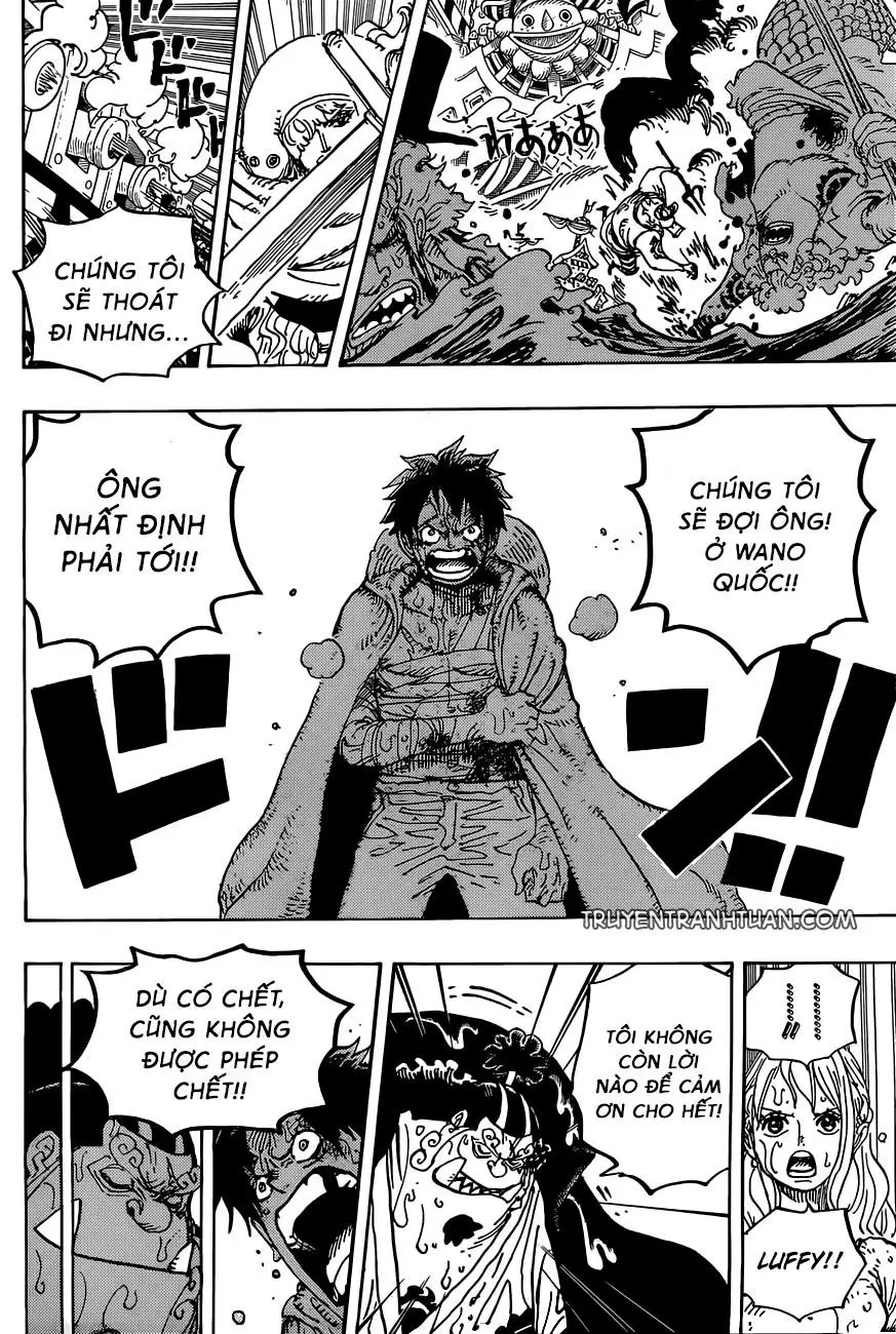 One Piece Chương 901 – trang 14