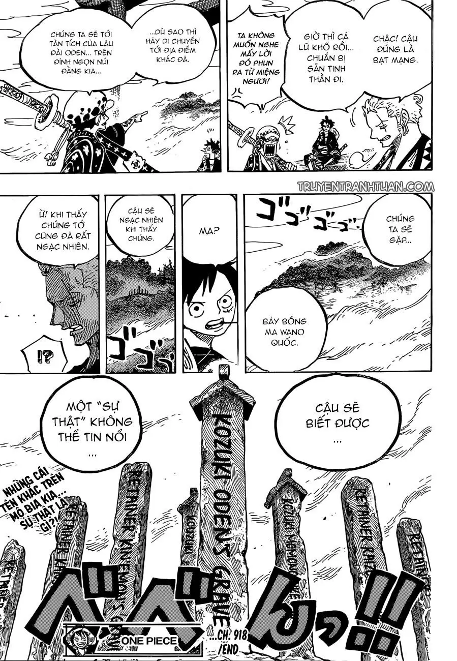 One Piece Chương 918 – trang 16