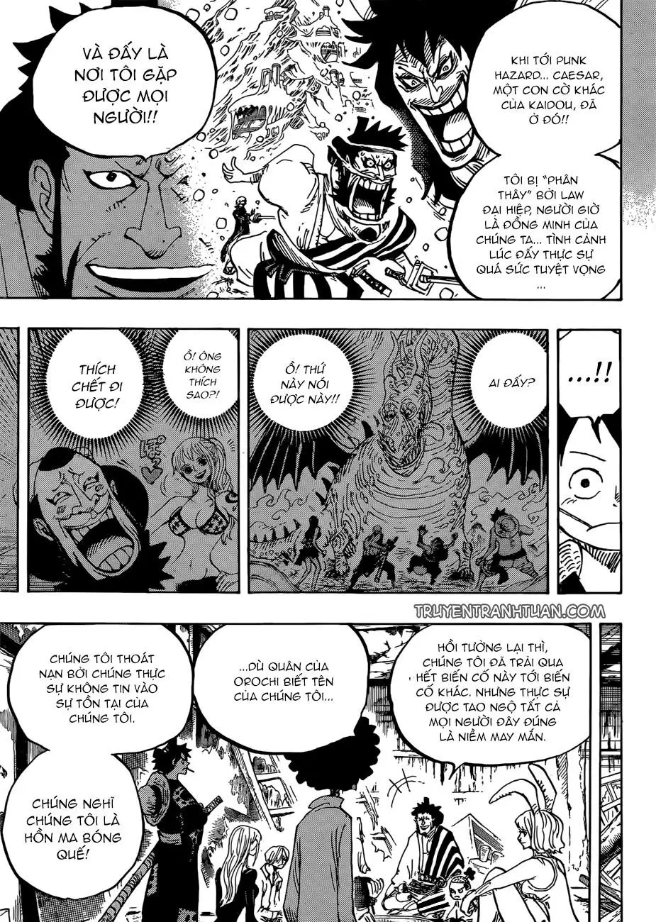 One Piece Chương 920 – trang 14