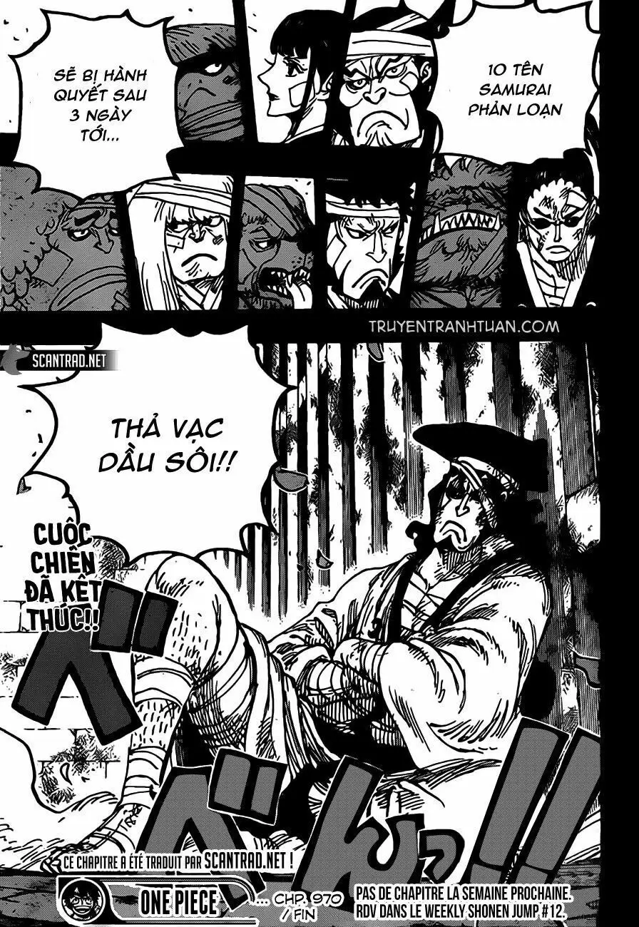 One Piece Chương 970 – trang 14