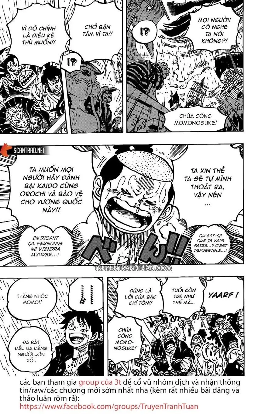 One Piece Chương 976 – trang 10