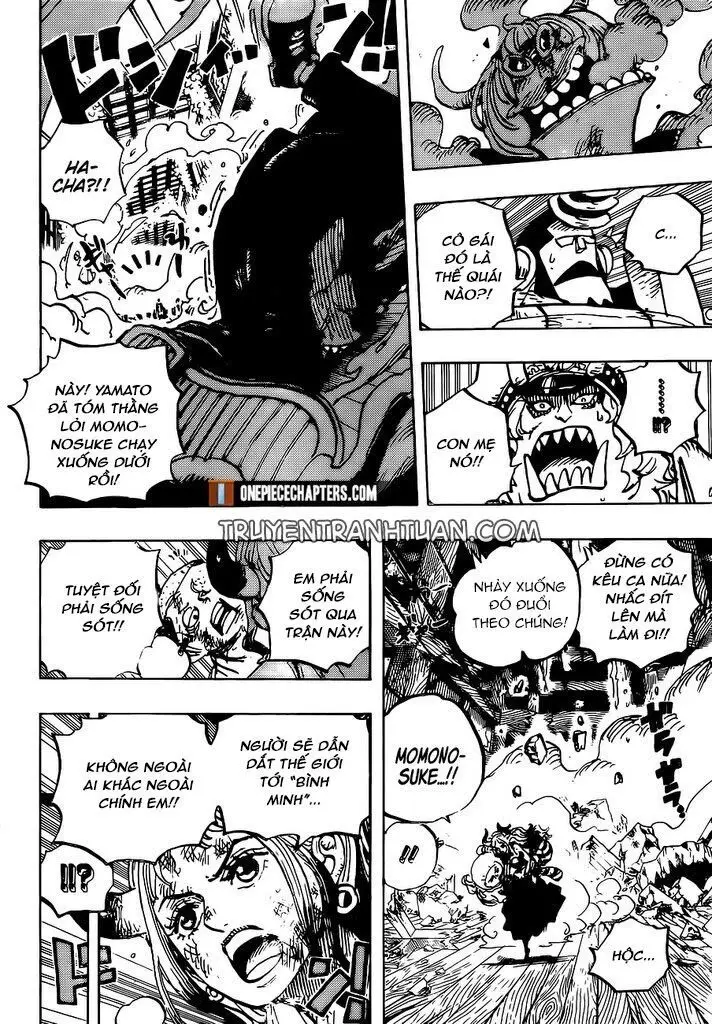 One Piece Chương 996 – trang 10