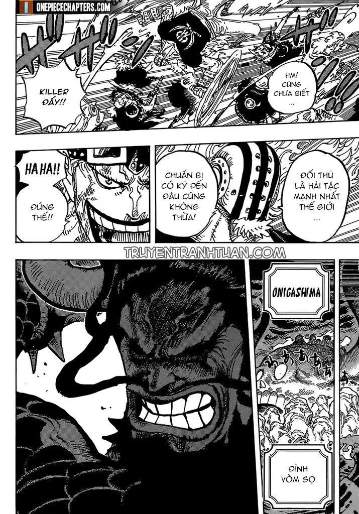One Piece Chương 996 – trang 14